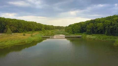 Aerial Drone Flight Footage: Back Flight above calm Water and forest in sunset Stock Footage 79834005