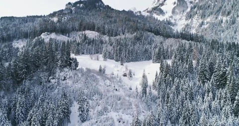Aerial drone flight forest winter 006 Stock Footage 147731229
