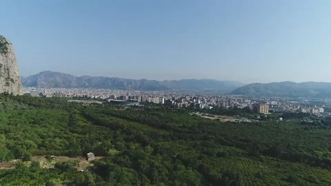 Aerial Drone Flight forward Dolly above Green Favorita Park in Palermo, Sicily Stock Footage 181070542