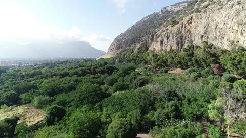 Aerial Drone Flight forward Dolly above Green Favorita Park in Palermo, Sicily Stock Footage 181070594