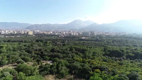 Aerial Drone Flight forward Dolly above Green Favorita Park in Palermo, Sicily Stock Footage 181070762
