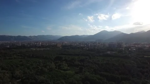 Aerial Drone Flight forward Dolly above Green Favorita Park in Palermo, Sicily Stock Footage 181070828
