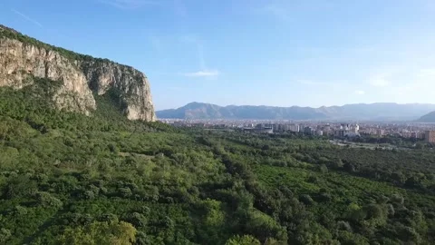 Aerial Drone Flight forward Dolly above Green Favorita Park in Palermo, Sicily Stock Footage 181070970