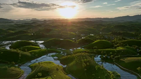 Aerial drone flight forward over Long Coc tea hill, Phu Tho, Vietnam Stock Footage 259159866