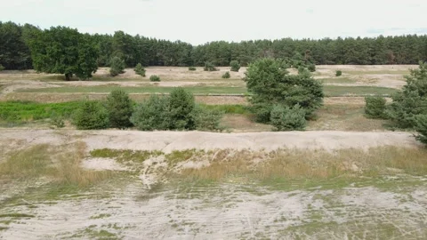 Aerial drone flight left to right over sandy forest edge and open field 動画素材 316370357