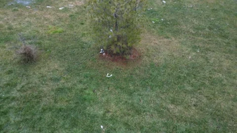 Aerial Drone Flight looking down at Condominiums and  at Paris Ontario durin Stock Footage 314202369