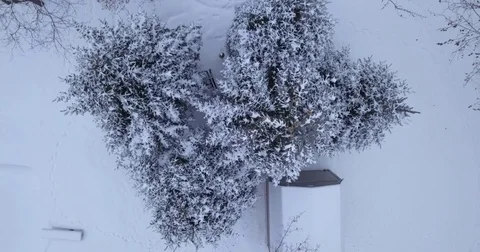 Aerial drone flight low over forest in Oakville Ontario Canada during Winter. 動画素材 83734773