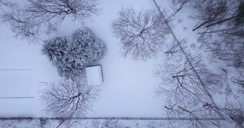 Aerial drone flight low over forest in Oakville Ontario Canada during Winter. Vídeos de archivo 83734780