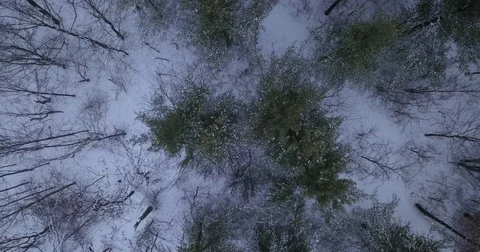 Aerial drone flight low over forest in Oakville Ontario Canada during Winter. 動画素材 83734790