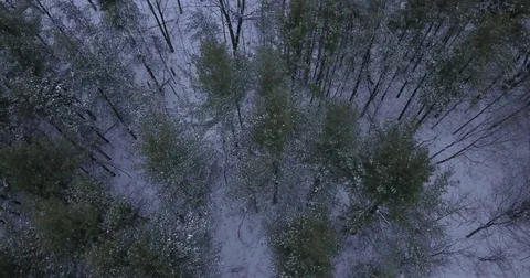 Aerial drone flight low over forest in Oakville Ontario Canada during Winter. Stock-Footage 83734861
