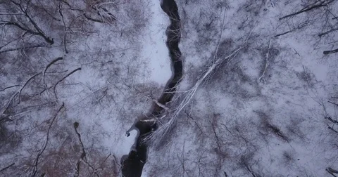 Aerial drone flight low over forest in Oakville Ontario Canada during Winter. Stock Footage 83735590