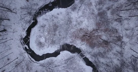Aerial drone flight low over forest in Oakville Ontario Canada during Winter. Vidéo 83735673