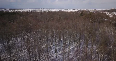 Aerial drone flight low over a forest during Winter. 스톡 동영상 83764874