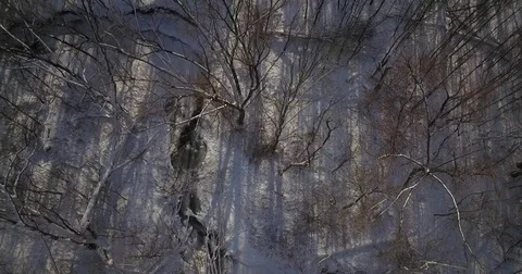 Aerial drone flight low over forest during Winter covered in snow. Video stock 83795213