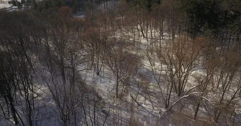 Aerial drone flight low over forest during Winter covered in snow. Vidéo 83795363