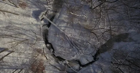 Aerial drone flight low over forest during Winter covered in snow. Stock Footage 83795480