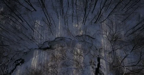 Aerial drone flight low over forest during Winter covered in snow. Vidéo 83795497