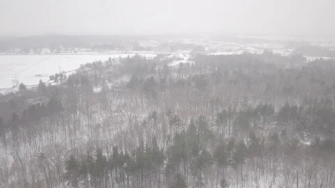 Aerial drone flight low over forest during a winter snow storm. Stock Footage 101971466
