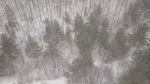 Aerial drone flight low over forest during a winter snow storm. Stock-Footage 101971657