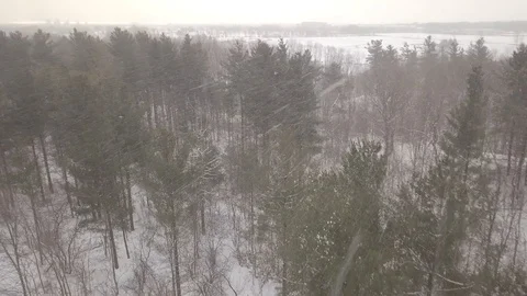 Aerial drone flight low over forest during a winter snow storm. Stock Footage 101972270