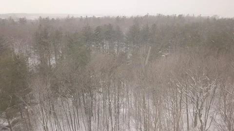 Aerial drone flight low over forest during a winter snow storm. Stock Footage 101974641