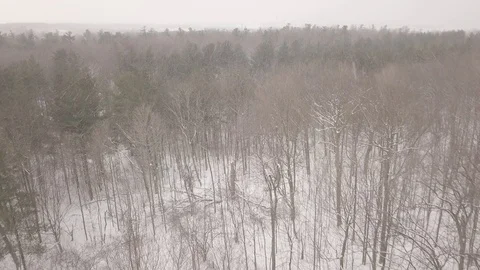 Aerial drone flight low over forest during a winter snow storm. Stock Footage 101974642