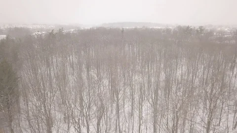 Aerial drone flight low over forest during a winter snow storm. Stock Footage 101974803