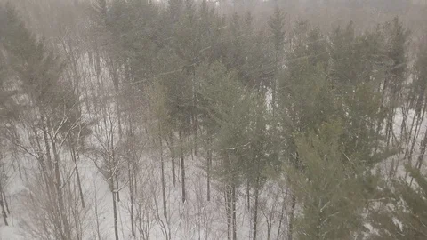 Aerial drone flight low over forest during a winter snow storm. Stock Footage 101974839