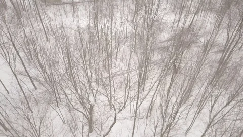Aerial drone flight low over forest during a winter snow storm. Stock Footage 101974909