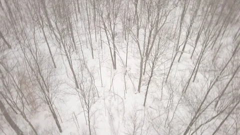 Aerial drone flight low over forest during a winter snow storm. Stock Footage 101974967