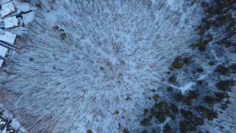 Aerial drone flight low over a suburban community on a bright day in winter. Stock-Footage 102204089