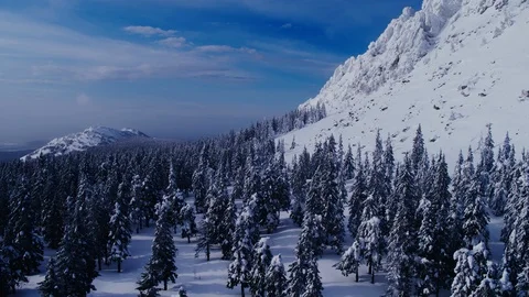 Aerial drone flight: mountain range in winter. Trees and peaks covered with snow Stock Footage 126215541