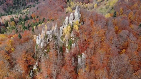 Aerial drone flight over autumn forest with rocky cliffs in Carpathians Stock Footage 337047784