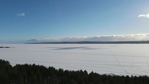 Aerial drone flight over coniferous trees in winter Video stock 149598620