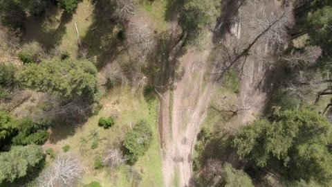 Aerial drone flight over a coniferous forest and rural dirt road Vídeos de archivo 337534079