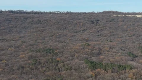 Aerial Drone Flight Over Endless Forest Canopy in Late Autumn Stock Footage 324889816