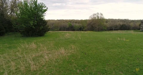 Aerial drone flight over a field and trees Stock Footage 107071757