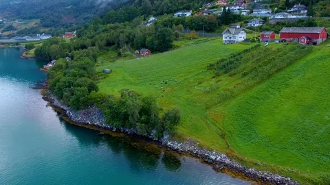Aerial drone flight over a flock of sheep that graze on a farm in Norway Video stock 129831470