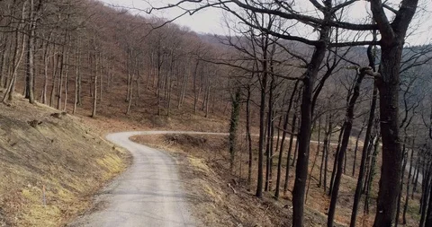 Aerial Drone flight over forest and dirt road in a forest in Austria in march Stock Footage 88940609