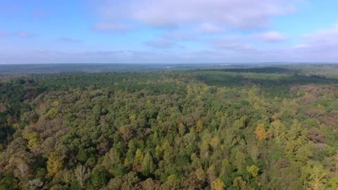 Aerial Drone Flight Over The Forest Stock Footage 141280732