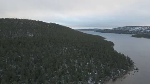 Aerial Drone Flight Over Forest At Finish Lake On Cloudy Day Stock Footage 225829452