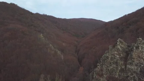Aerial Drone Flight Over Forest Canyon with Rocks Video stock 318410700