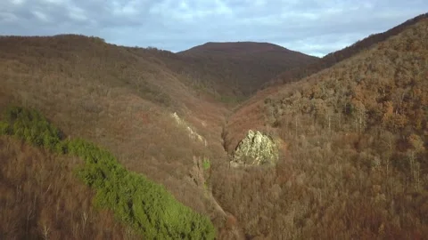 Aerial Drone Flight Over Forest Canyon with Rocks Video stock 318410702