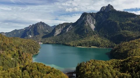 Aerial drone flight over forest towards lake with Alps on a sunny day Stock Footage 319749863