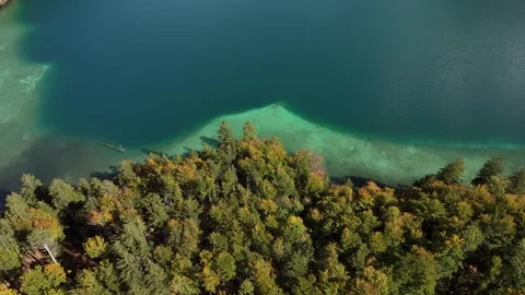 Aerial drone flight over forest towards crystal clear turquoise Alpsee Lake Stock Footage 319789734