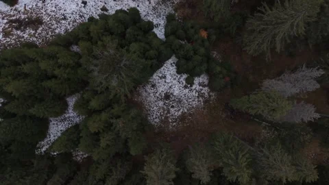 Aerial Drone Flight Over Forest Hills with Early Snow Patches, Autumn Morning Stock Footage 320310937
