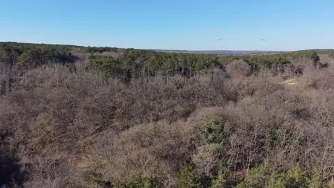 Aerial drone flight over forest and open countryside hills landscape Stock Footage 328006035