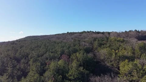 Aerial drone flight over forest and open countryside hills landscape Stock Footage 328006083