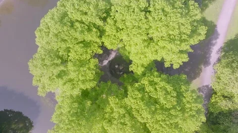 Aerial Drone Flight Over Forest Canopy in Braunschweig with Fog Stock Footage 332691918