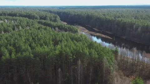 Aerial drone flight over forest and winding river landscape Stock-Footage 333836471